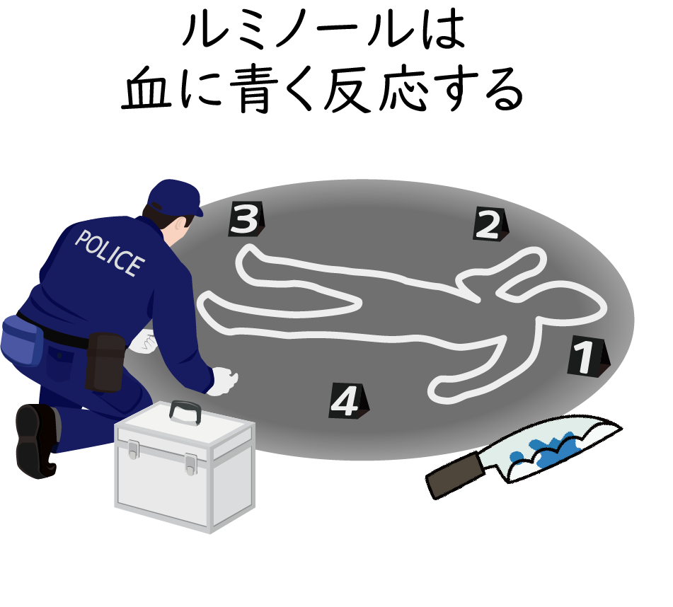 ルミノール画像②