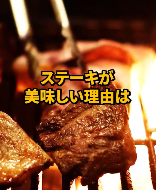 動画　メイラード反応　スクショ