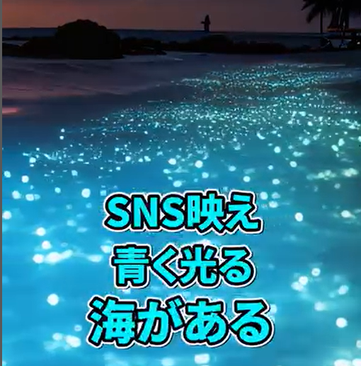 動画　光る海　スクショ